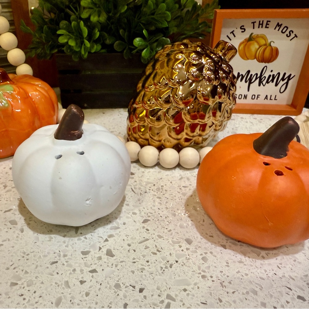 Decorative Pumpkin Set - Orange, White, salt and pepper